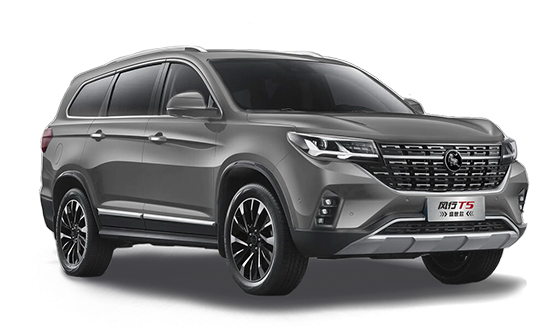 Forthing T5